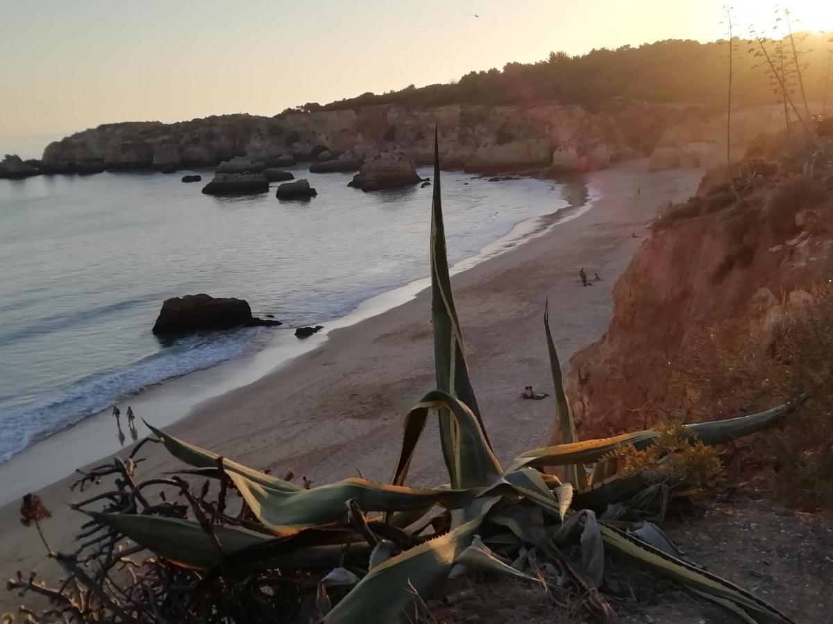 Vau Sea View, T2 Apartment, Close To Beach,Ideal For Families Portimão Εξωτερικό φωτογραφία